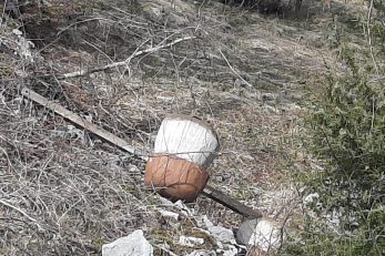 Jedna od uništenih skulptura gljiva