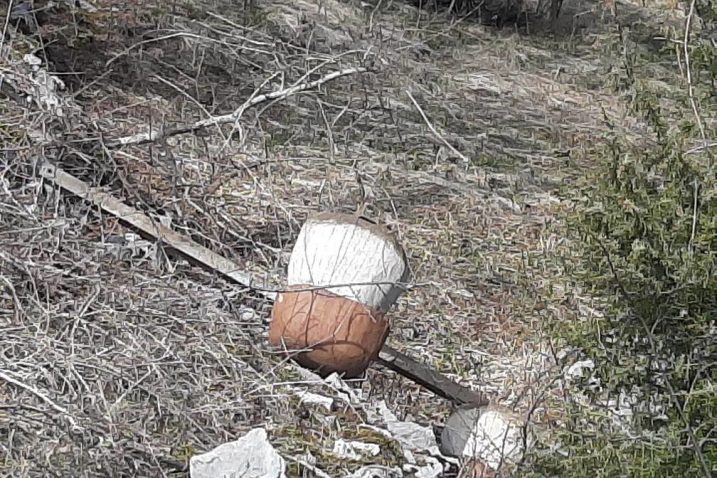 Jedna od uništenih skulptura gljiva