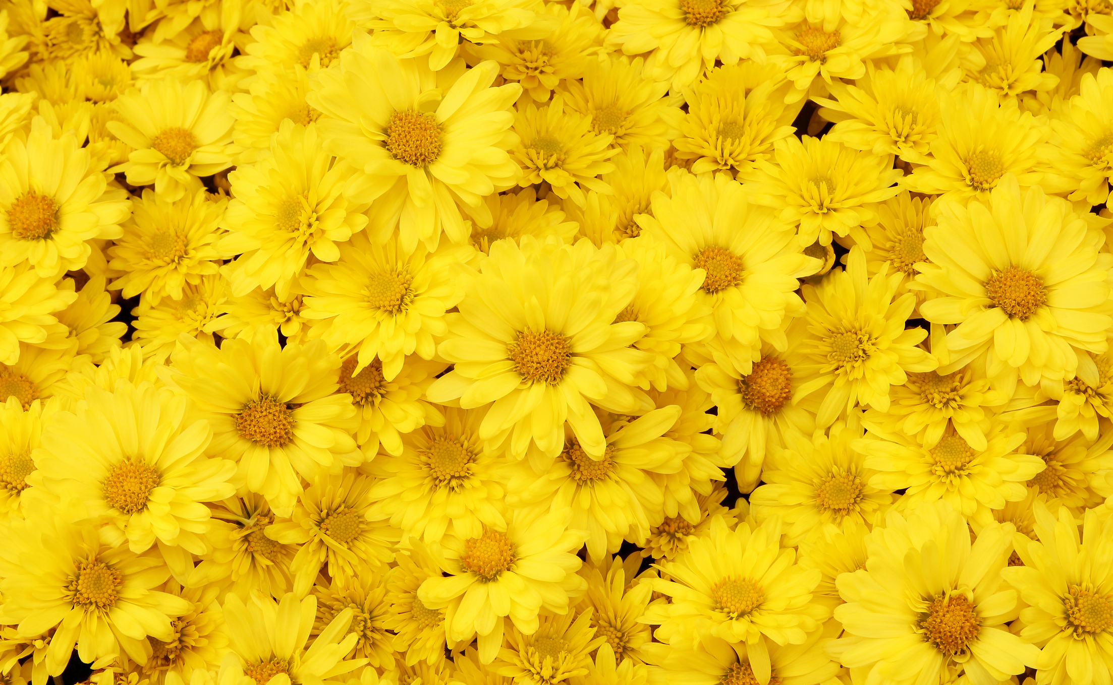 Foto: iStock