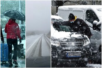 Foto D. Kovačević