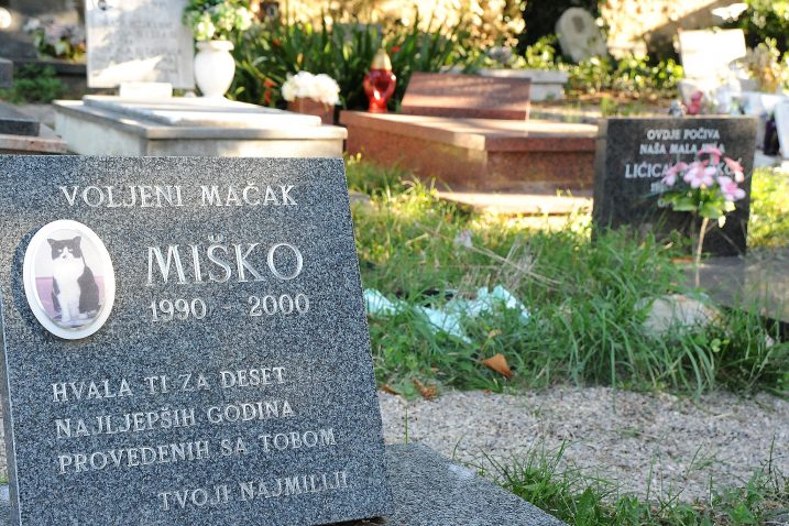 Groblje u Lukovićima jedno je od najstarijih grobalja kućnih ljubimaca u Europi / Foto S. DRECHSLER