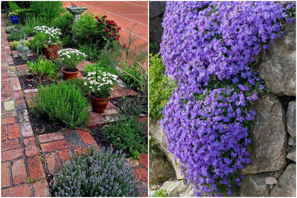 Arhiva dvorište Novi list