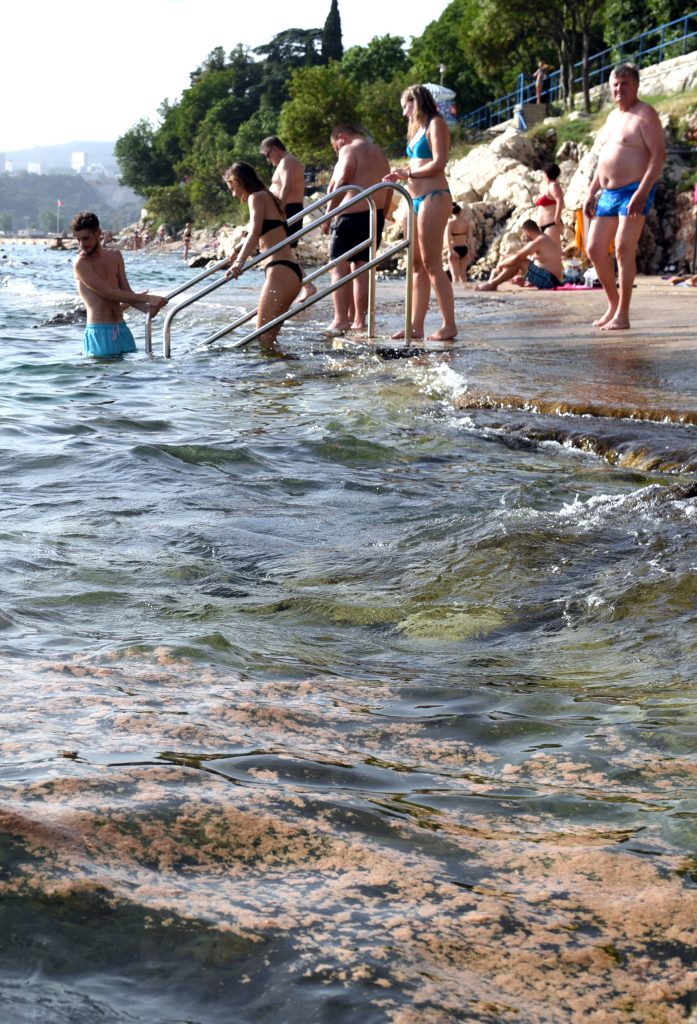 Na visokim temperaturama teško je odoljeti i ne okupati se u »procvjetalom« moru / Foto Marko GRACIN