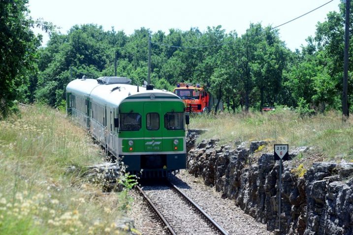 foto: Dejan Štifanić/Glas Istre