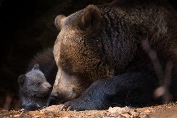 Foto: iStock (Ilustracija)