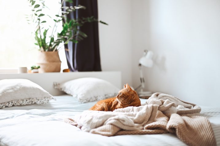 FOTO: Unsplash