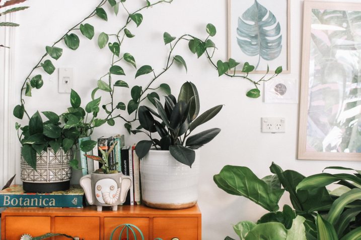 FOTO: Unsplash