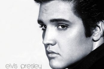 Foto: Elvis Galery - FLICKR