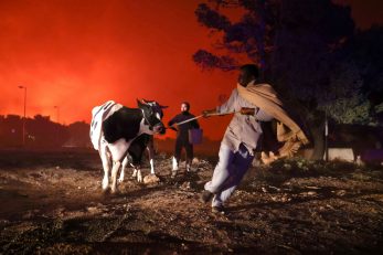 Foto Reuters