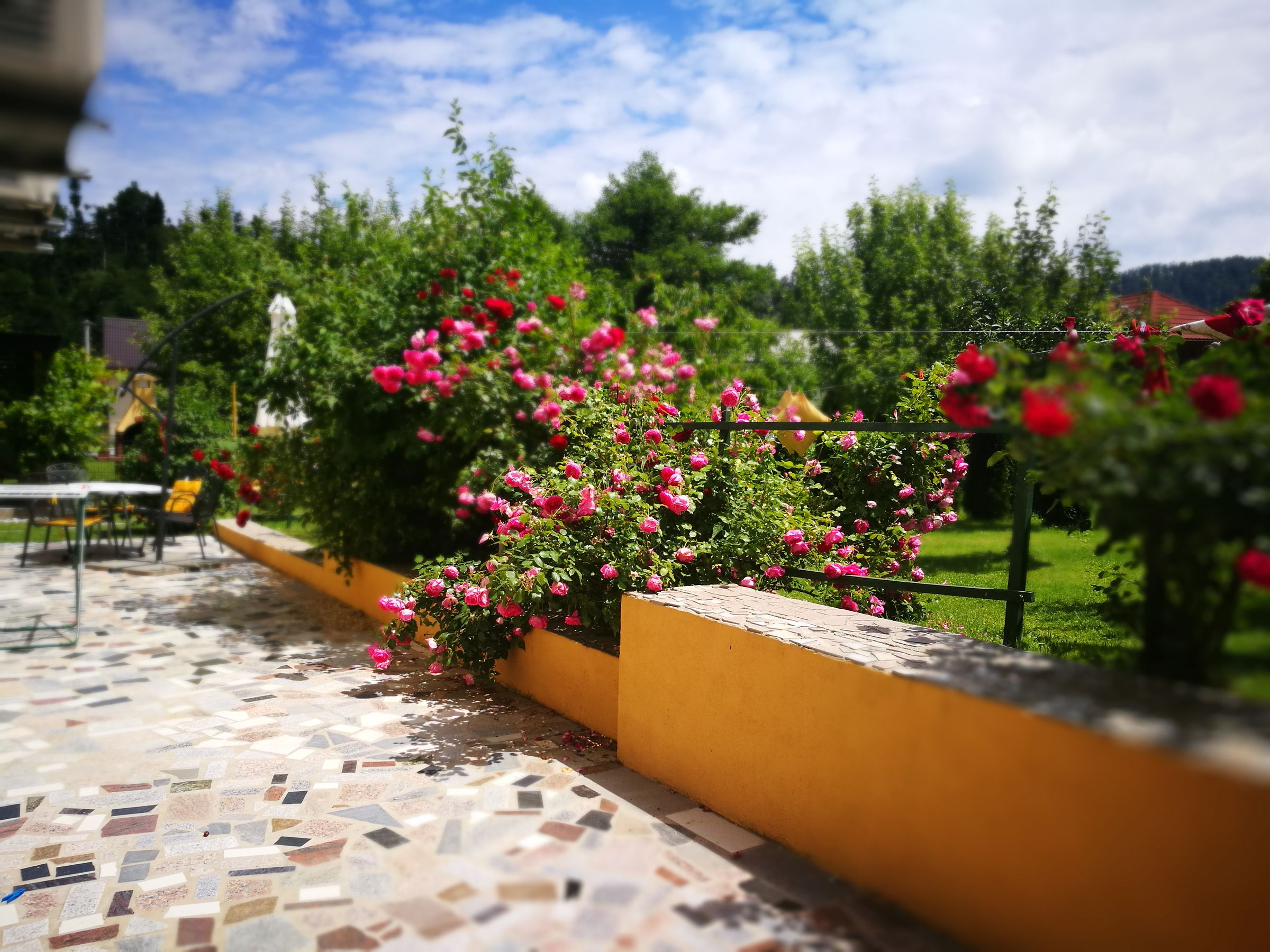 Foto Marinko Krmpotić