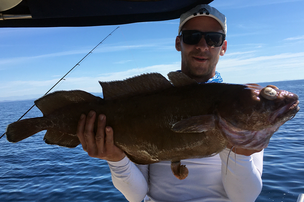 Jeste li znali da je za ribe pogubniji niski nego visoki tlak? Većina ...