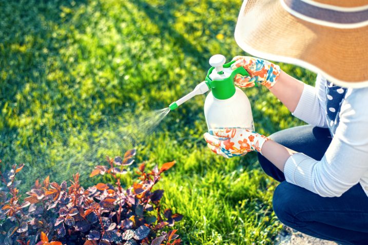 Foto: iStock