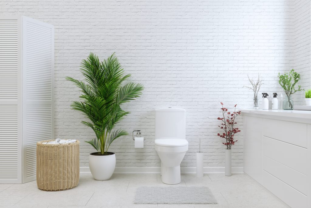 Kako očistiti četku za WC školjku u 10 sekundi? - Vimarsana News