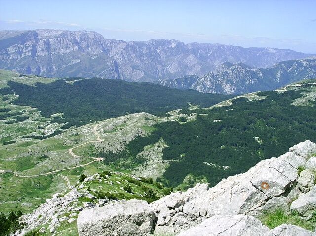 foto: wikimedia commons