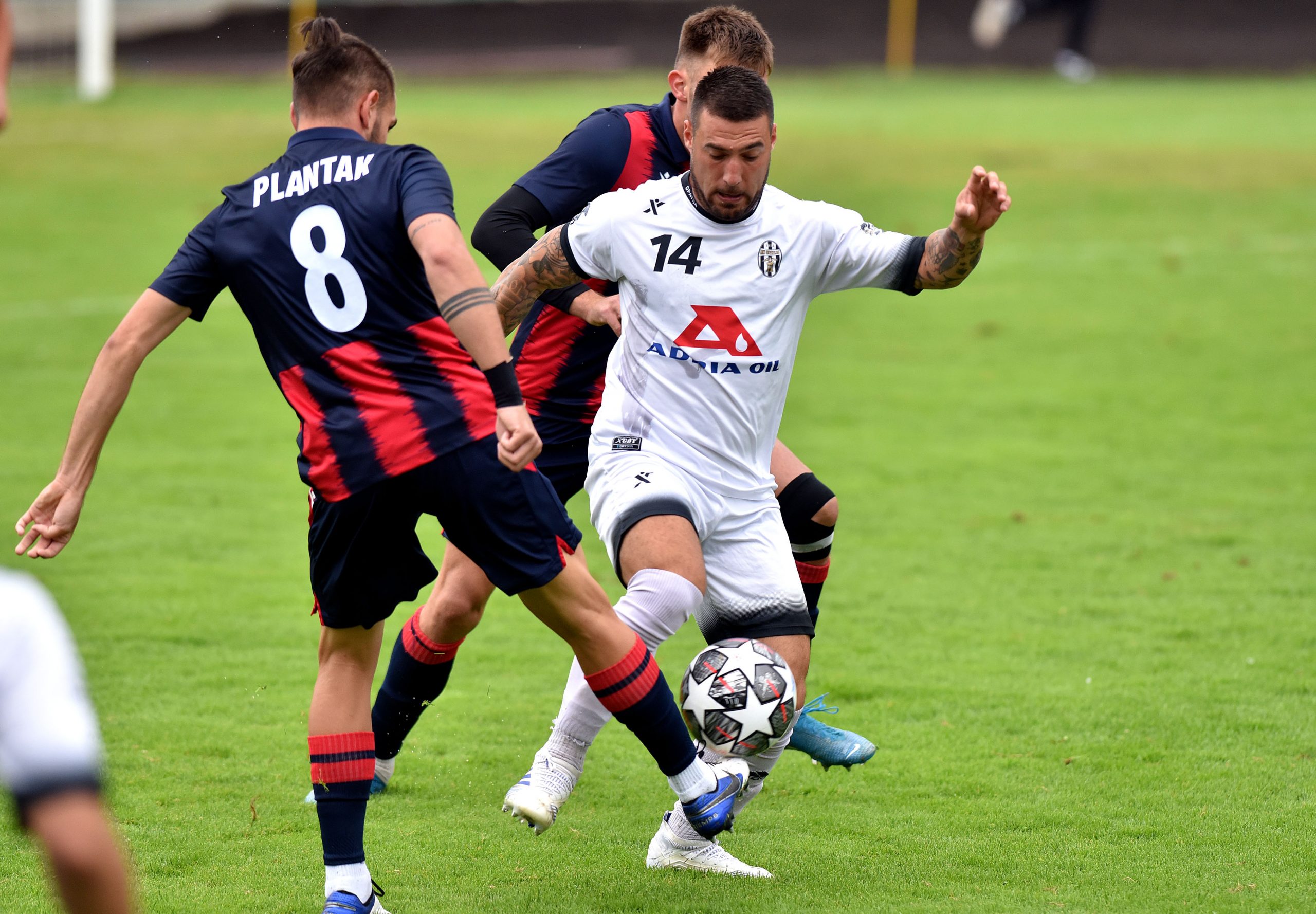 Foto D. KOVAČEVIĆ