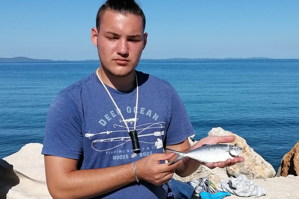Još jedan ulov strijele modrulje dokazuje da ova riba polako ali sigurno dolazi do krajnjeg sjevera Jadrana - Vimarsana News