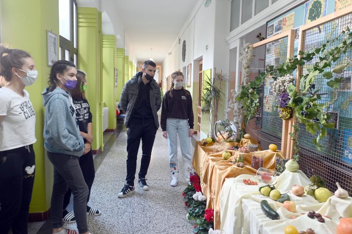 Učenici su prezentirali svoje znanje o murvi / SNIMIO: VEDRAN KARUZA