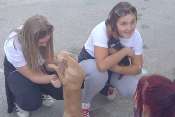 Druženje volontera CK-a sa psima iz Skloniša u Liču / Foto S. Krizmanić