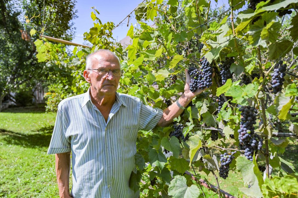 Vilko Klobučar / Foto Mateo LEVAK