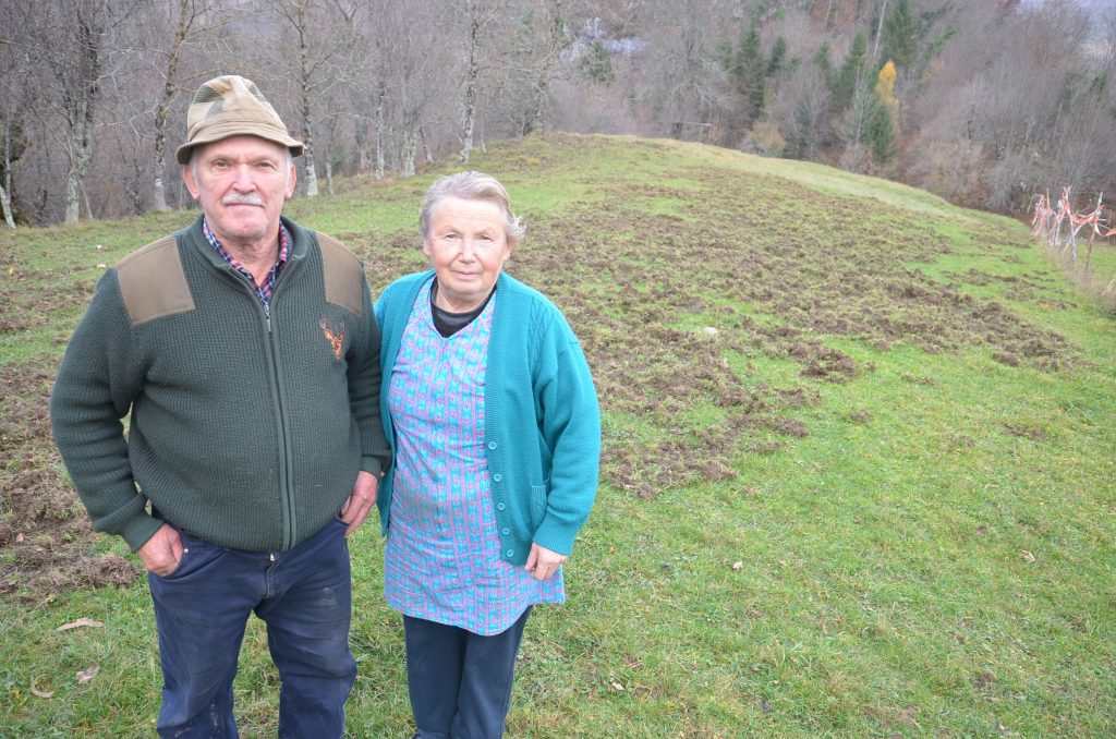 Vinko i Anica Mauhar - nemamo novca da bismo podigli ograde oko livada / Foto M. KRMPOTIĆ 