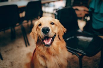 FOTO: Unsplash