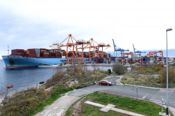 Riječki kontejnerski terminal je i službeno ušao u red kontejnerskih terminala srednje veličine u svijetu / Foto M. GRACIN