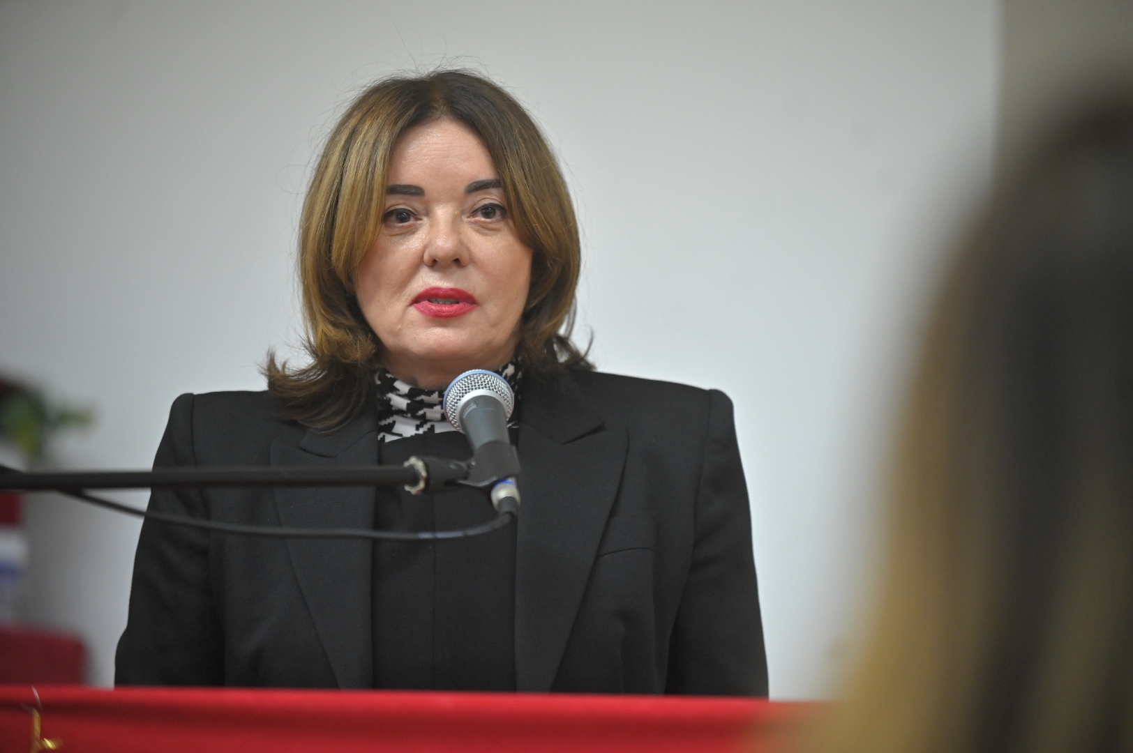 Foto Mateo Levak