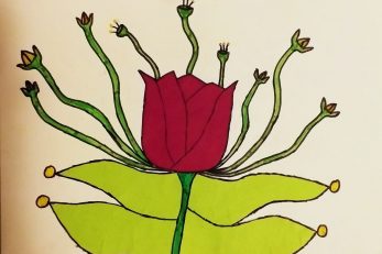 »Neobičan cvijet«, Petar Mikulić, 7. razred, OŠ Jelenje-Dražice
