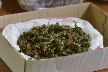 Ilustracija Foto: Hrvoje Jelavic/PIXSELL