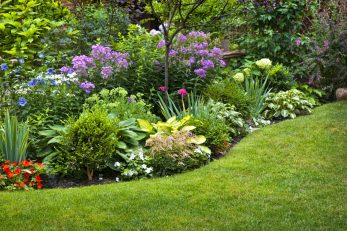 Foto: iStock