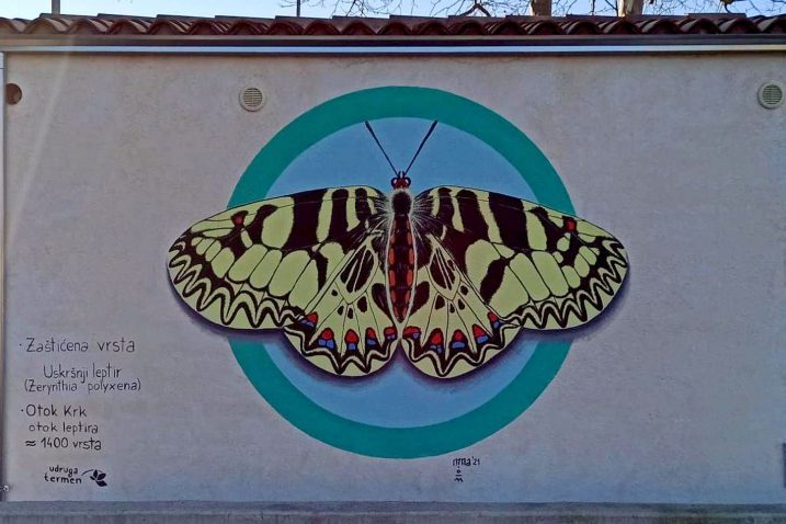 Foto Mladen Trinajstić