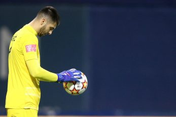 Nediljko Labrović/Foto PIXSELL