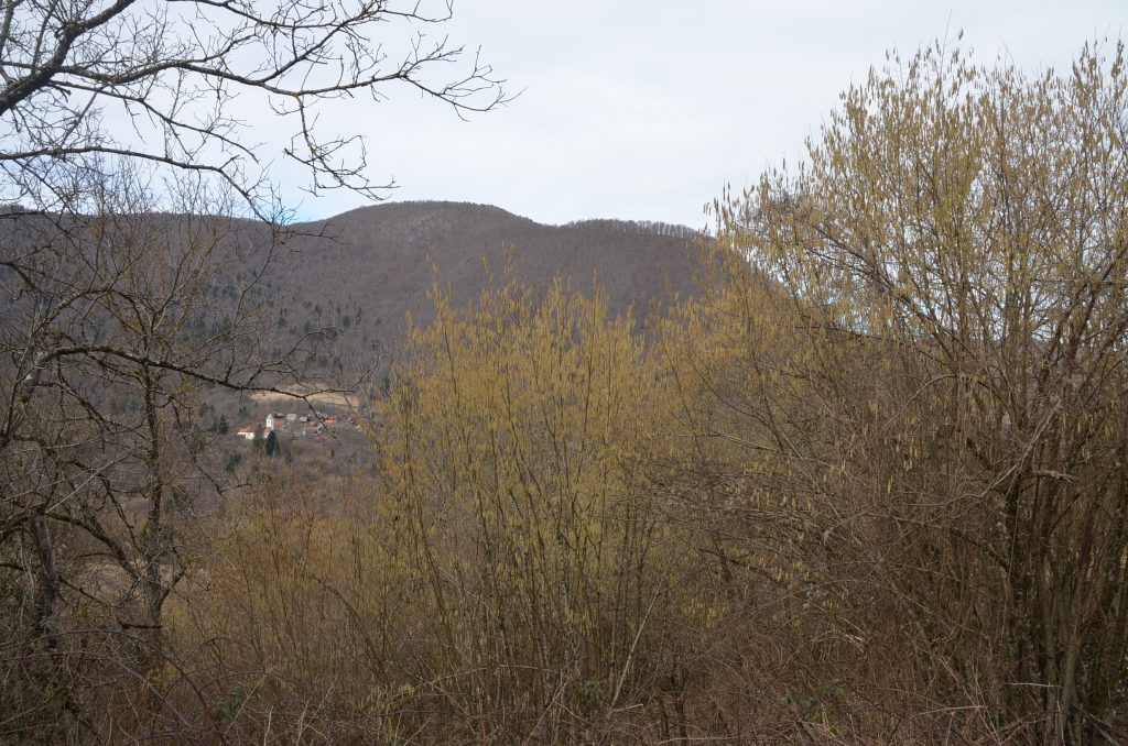  Iako je proljeće još daleko, ovakvi ga prizori jasno prizivaju / Foto M. KRMPOTIĆ