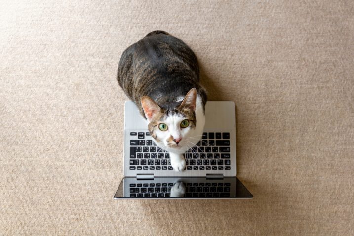 FOTO: iStock