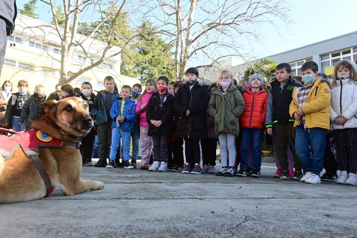 Foto Vedran Karuza