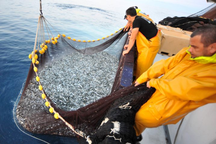 Snimio Sergej Drechsler