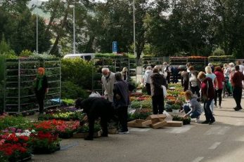 Prodajni sajam cvijeća u Puntu na red dolazi u subotu 9. travnja / Foto TZO Punat