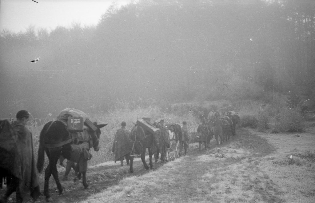  Oprečni stavovi izneseni su o filmu o »ledenom maršu« iz 1944.