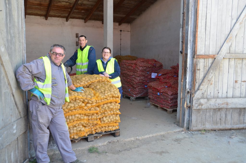 : Mještanima je podijeljeno 21,6 tona sjemenskog krumpira / Snimio M. KRMPOTIĆ