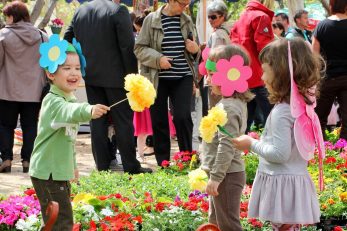 Festival cvijeća Baška rožica jedna je od uvijek dobro posjećenih predsezonskih manifestacija / Foto L. TABAKO