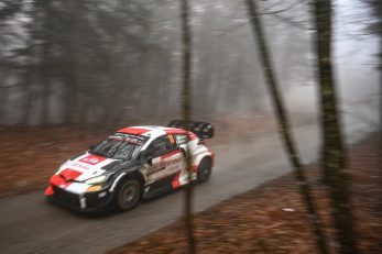 Foto M. LEVAK