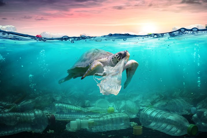 Foto: iStock