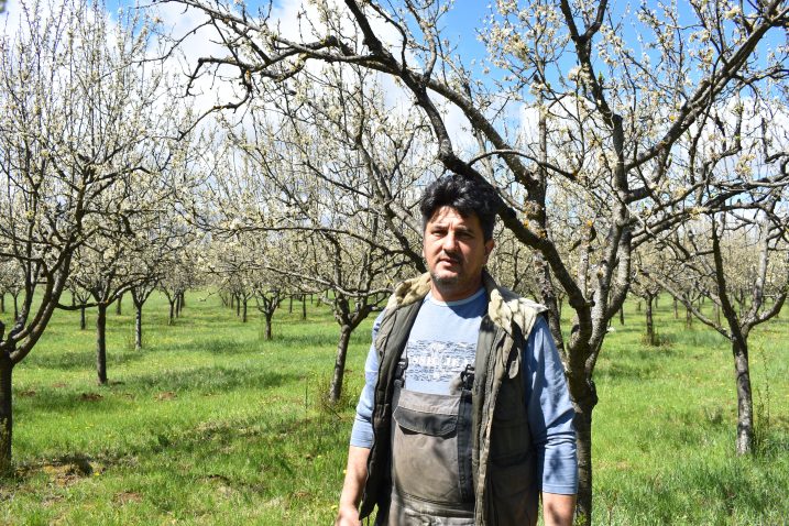 »Čačanke« su se ovdje odlično udomaćile - Dragan Šop / Foto M. SMOLČIĆ