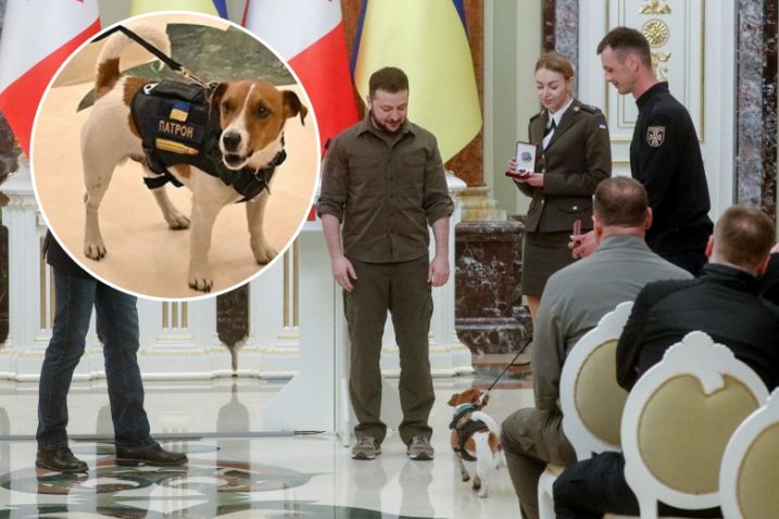 REUTERS