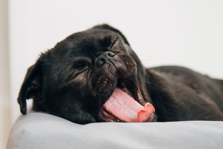 Foto charlesdeluvio on Unsplash