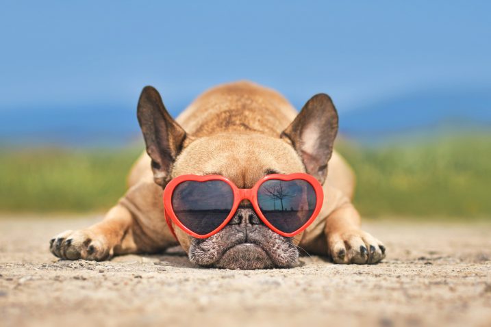 Foto: iStock