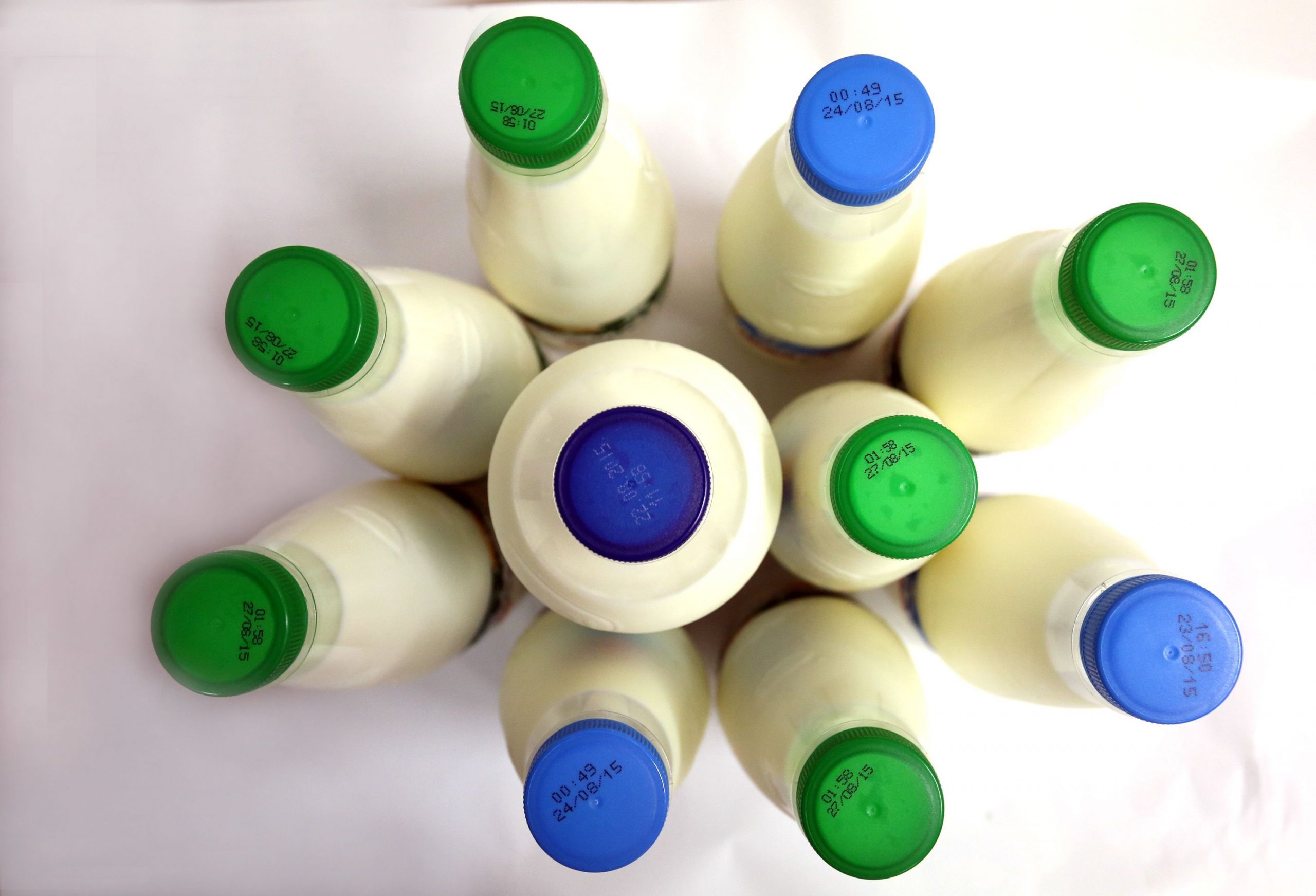 Otkupna cijena mlijeka u kolovozu raste za 80 lipa u odnosu na početak godine / Foto DUSKO JARAMAZ/PIXSELL