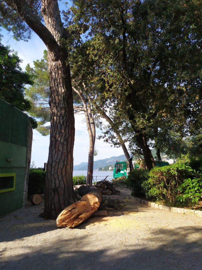 Foto S. ANIČIĆ