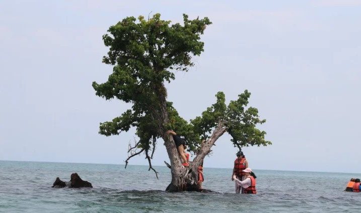 Foto: Facebook/Tourism Authority of Thailand/Trat