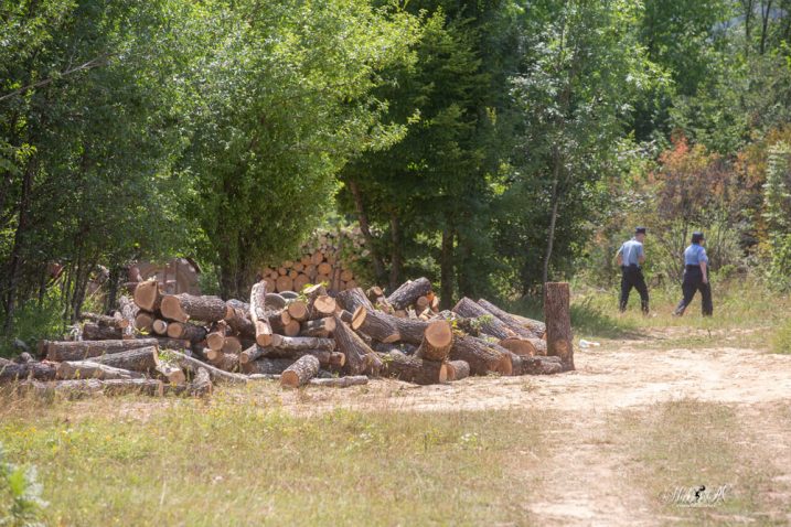 Foto M. SMOLČIĆ